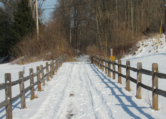 The Winter Trail